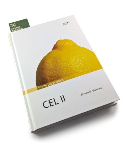 Cel 2: To nie przypadek - Eliyahu M. Goldratt