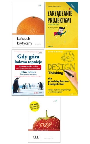 Pakiet o zarządzaniu projektami.JPG
