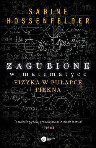 Zagubione w matematyce - Sabine Hosenfelder-ab9252aec5d04926e05c147375ab232b