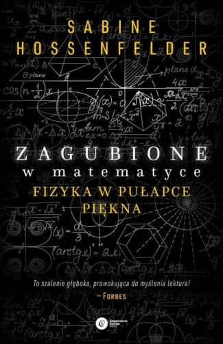 Zagubione w matematyce - Sabine Hosenfelder-2284ba7ffc6c0ad0f897e67d9fc275dd