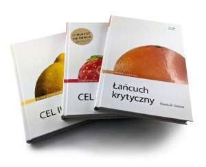 Zestaw Teoria Ograniczeń Goldratt - zespół - produkcja - projekty - Eliyahu M. Goldratt