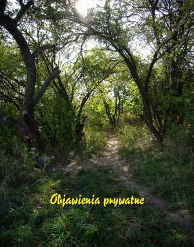 [EBOOK] Objawienia prywatne - Praca zbiorowa